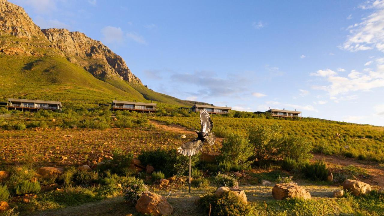 Big Sky Cottages Wolseley Bagian luar foto