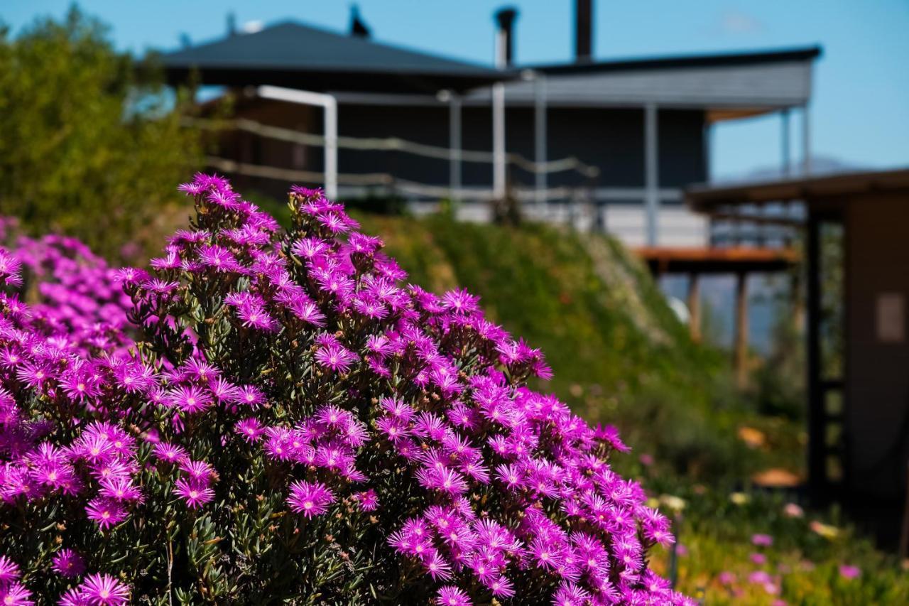 Big Sky Cottages Wolseley Bagian luar foto